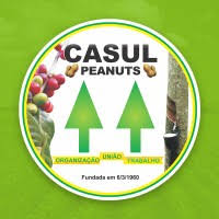 Logo Casul
